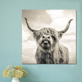 Canvas - Highland Cow